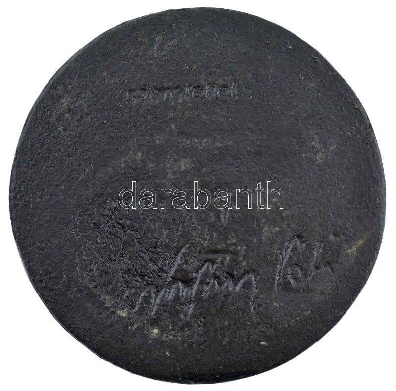 1982. vasipari munkást ábrázoló egyoldalas Fe emlékérem (102mm) T:2,2- patina - Image 2