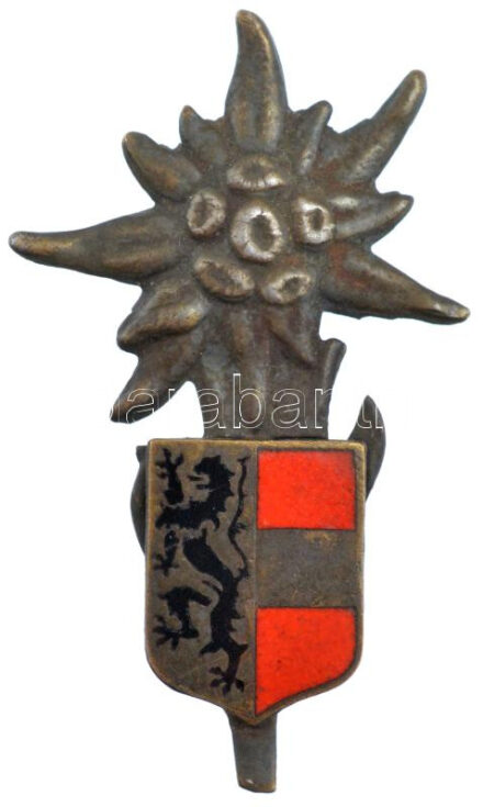 Ausztria ~1930-1940. 'Salzburgi Turista Egylet' zománcozott fém jelvény (45x26mm) T:1- Austria ~1930-1940 'Salzburg Tourist Assosiation' enamelled metal badge (45x26mm) C:AU