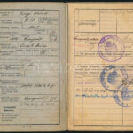 cca 1940-1945 M. kir. katonák iratai, igazolványi lap, leszerelési jegyek, polgári lap, stb. - Image 3