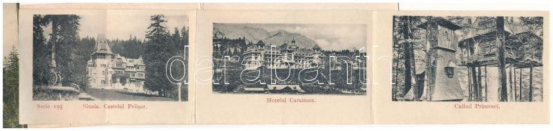 1907 Sinaia, Castelul Peles / castle - Leporello can be pulled out with 12 small images - Image 2
