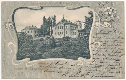 Targoviste, Tirgovics; Scoala Copiilor de trupa Monastirea Dealului / school of the monastery. Art Nouveau, floral (Rb)