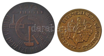 1983. 'Hírös Napok Kecsekemét / Kertészeti Élelmiszeripari Gépkiállítás' öntött Br emlékérem (67mm) T:2 kis ph. + 1975 Debrecen megyei Munkás-Paraszt Ifjúsági Találkozó br emlékérem egy oldalas 80 mm T:1-