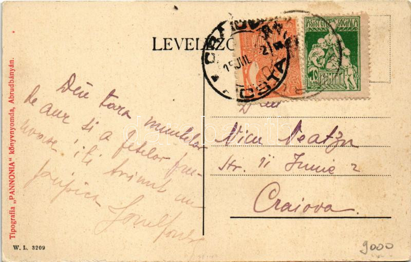 Abrudbánya, Abrud; Városháza. W.L. 3209. / town hall - Image 2