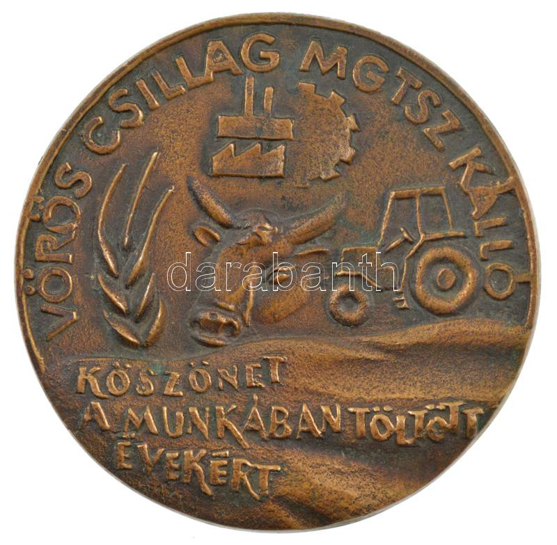 DN 'Vörös Csillag MGTSZ Kálló - Köszönet a munkában töltött évekért' egyoldalas bronz emlékérem (92mm) T:1- kis patina