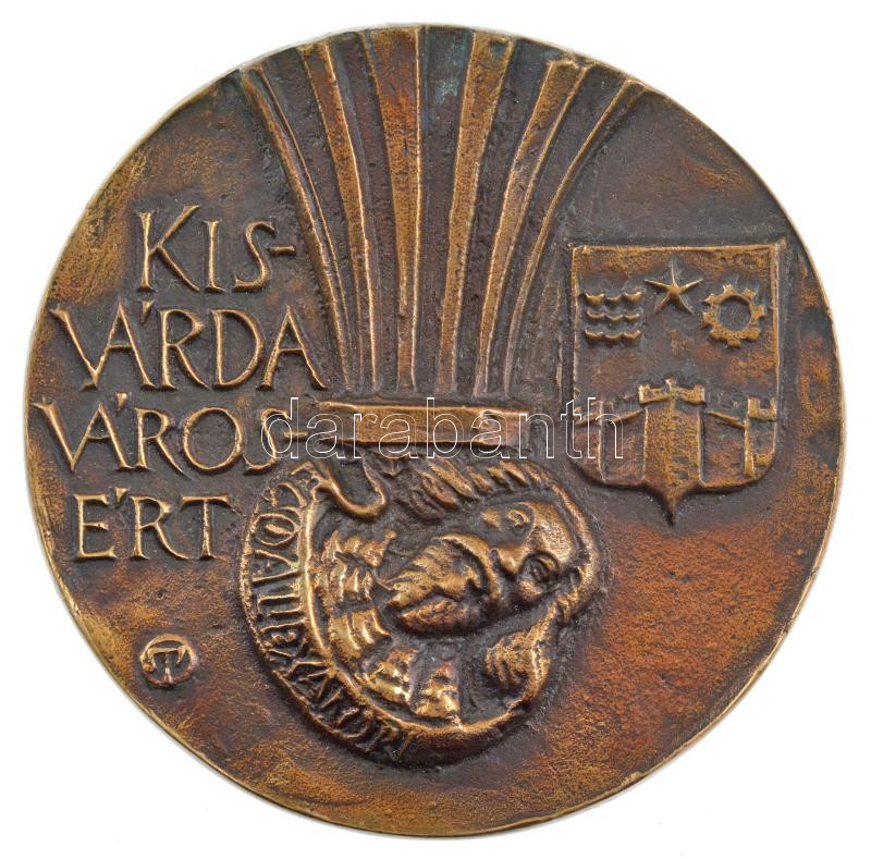 Tóth Sándor (1933-2019) DN 'Kisvárda városért' egyoldalas bronz plakett (110mm) T:1- kis patina