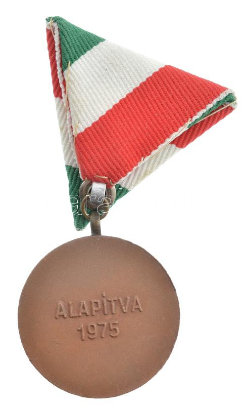 1975. 'Pedagógus Szolgálati Emlékérem 1974' bronz kitüntetés mellszalagon (34mm) T:1- NMK714 - Image 2