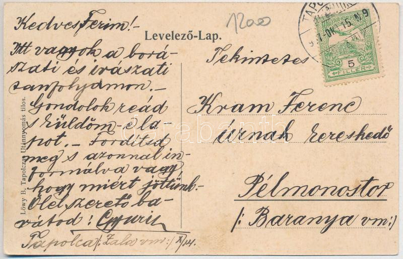 1907 Badacsony, Vígan élj és ne búsulj! Montázs boros hordókkal, szőlőkkel és gőzhajóval. Löwy B. kiadása (EB) - Image 2