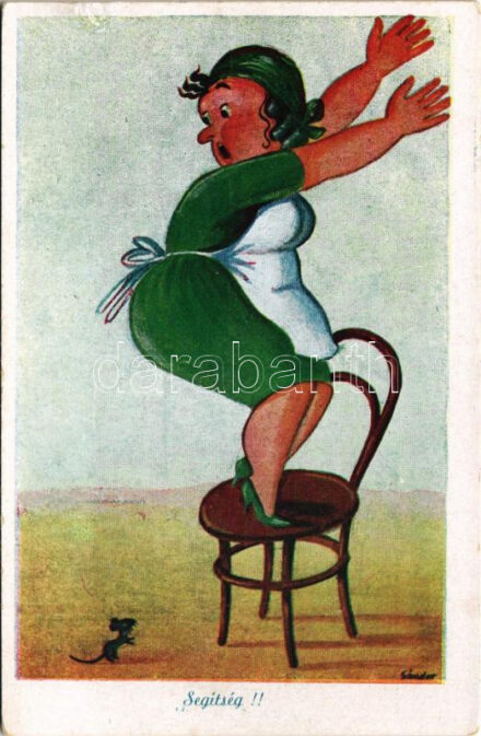 Segítség! Humoros lap egérrel / Help! Mouse humour s: Sándor