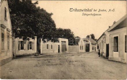 1917 Tribuswinkel, Sängerhofgasse / street view (EK)