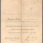 1891 Wenczel Tivadar orvosi végbizonyítványa, Eötvös Loránd (1848-1919 autográf aláírásával - Image 4