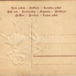 Krampus and Lady Krampus with pitchfork. Hannovera Serie 4888. Emb. litho (EB) - Image 2