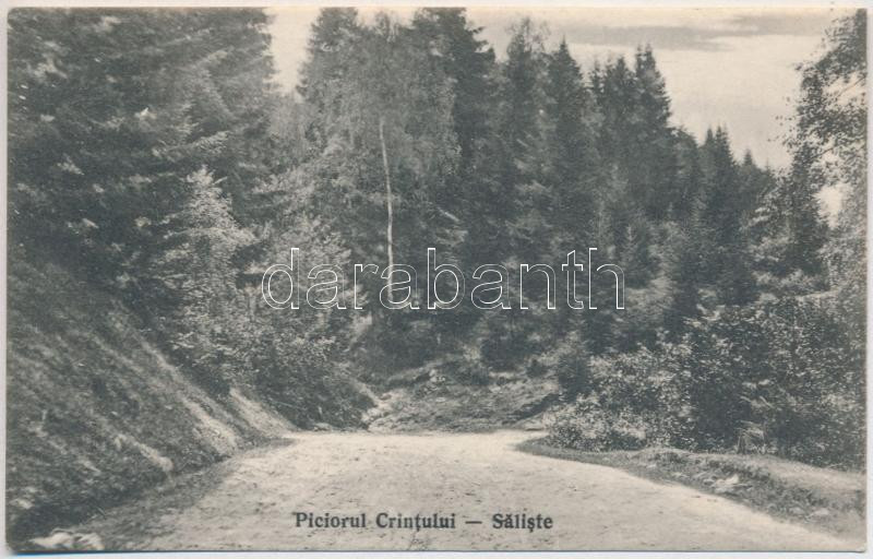 Szelistye, Salistea Sibiului, Saliste; Piciorul Crintului / út / road
