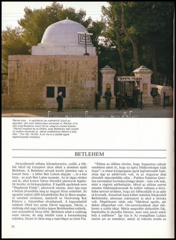Izrael képes útikönyv 250 fotóval, magyar nyelvű kiadás Bonechi-Stiematzky - Image 3