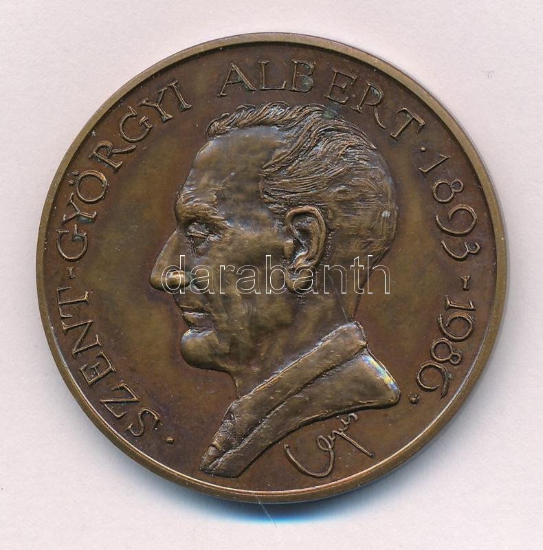 Lapis András (1942-) 1987. 'Szent-Györgyi Albert 1893-1986 / Szote - Nobel-díjának 50. évfordulójára - MÉE' bronz emlékérem (42mm) T:1-