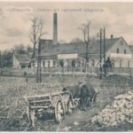 1912 Dombóvár, Hungária dombóvári vajtermelő központja. 5769. (EM)
