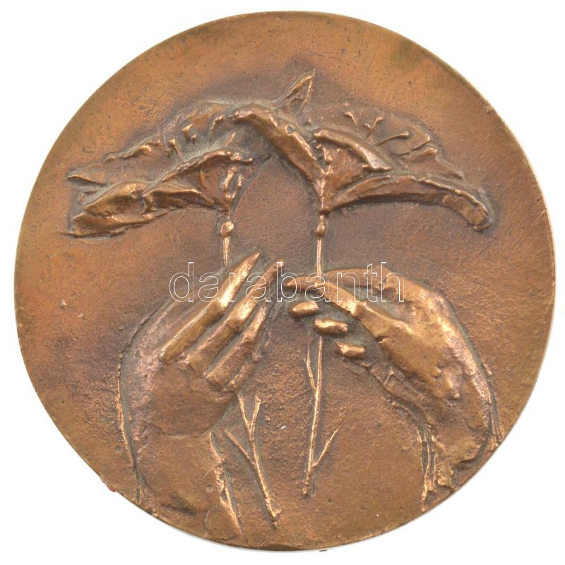 DN 'Virágok' bronz emlékérem (90mm) T:1-