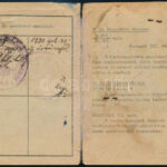 1929 Fényképes cserkészigazolvány, megviselt állapotban - Image 2