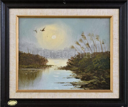 Jelzés nélkül: Nádas. Olaj, fára kasírozott vászon. Keretben. 20X25,5cm