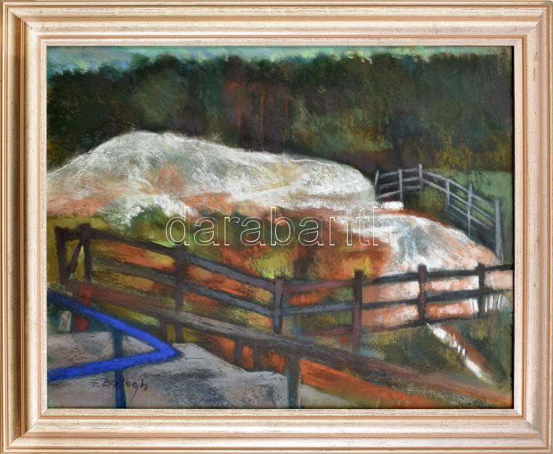 F. Balogh Erzsébet (1955-): Egerszalóki hőforrás (Saliris Hotel). Pasztell, papír, jelzett. Dekoratív, üvegezett fakeretben. 48,5x64 cm