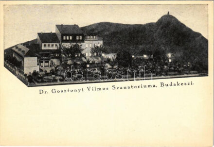 Budakeszi, Dr. Gosztonyi Vilmos Szanatóriuma