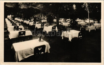 Budapest I. Gollerits Károly 'Véndiófa' vendéglője, kert több mint 50 asztallal, cigányzenekar. Pálya utca 3. Beller Fotó