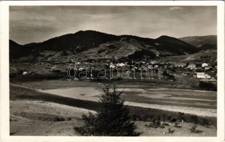1944 Ökörmező, Volove Polje, Volové, Mizhhirya; látkép. Dárdai Tivadar kiadása / general view + kétnyelvű bélyegzés / bilingual cancellation