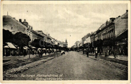 1931 Nagybecskerek, Zrenjanin, Veliki Beckerek; Alexandrova ul. / utca, üzletek. Aleksa Almasi kiadása / street view, shops (EK)