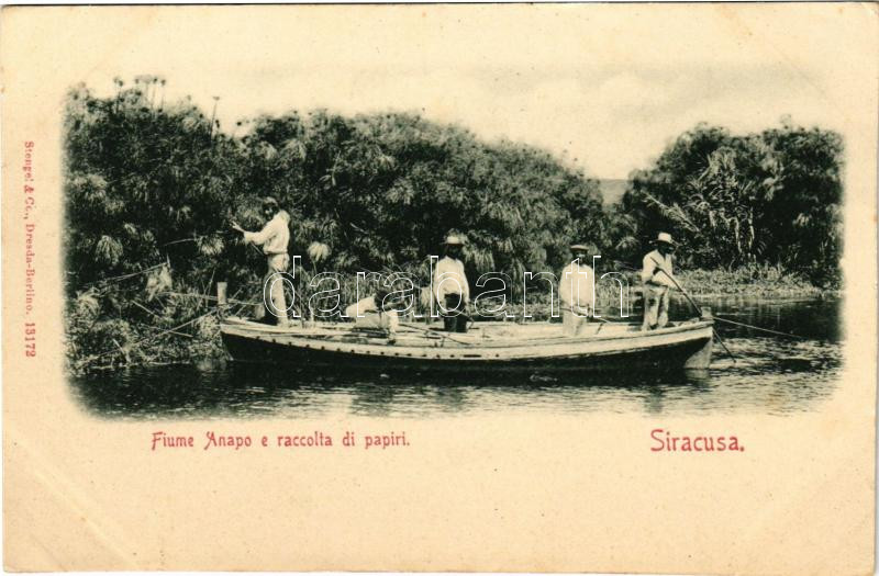 Siracusa, Syracuse (Sicily); Fiume Anapo e raccolta di papiri / Italian folklore, papyrus collecting (EK)