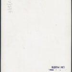 cca 1940 Páva Szendrő István fotóművész pecséttel jelzett fotója 24x16 cm - Image 2