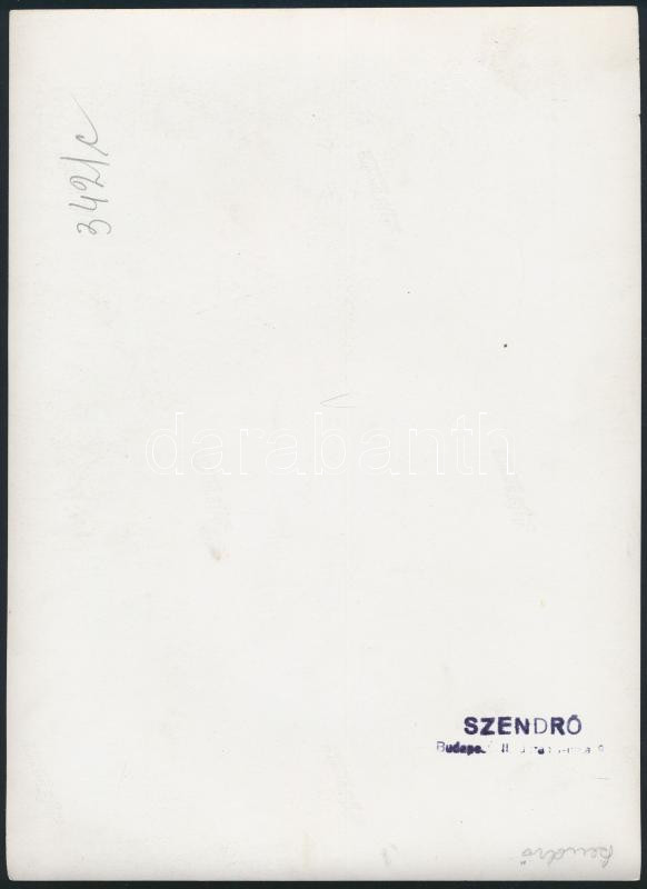 cca 1940 Páva Szendrő István fotóművész pecséttel jelzett fotója 24x16 cm - Image 2