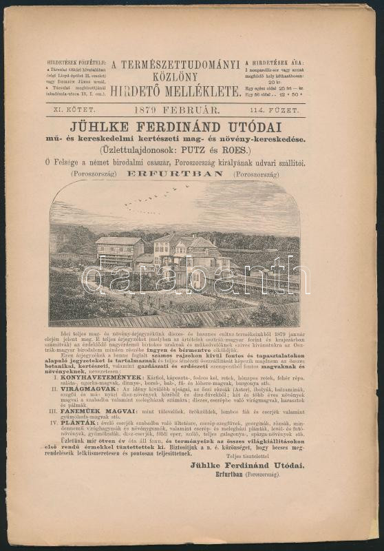 1879 A Természettudományi Közlöny hirdető melléklete 12l. szakadással