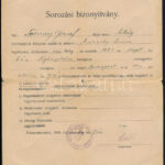 cca 1920-1946 3 db katonai igazolvány, sorozási bizonyítvány - Image 2