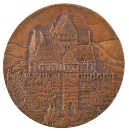 DN 'Castrum Regale et Reginale Budae Veteris' bronz emlékérem (113 mm) T:1-