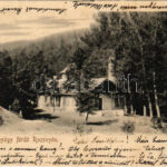 1901 Rozsnyó, Roznava; Vasas gyógyfürdő. Falvi Jenő kiadása / spa, bath (EK)