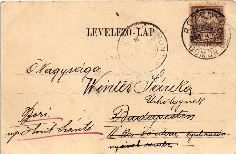 1901 Rozsnyó, Roznava; Vasas gyógyfürdő. Falvi Jenő kiadása / spa, bath (EK) - Image 2