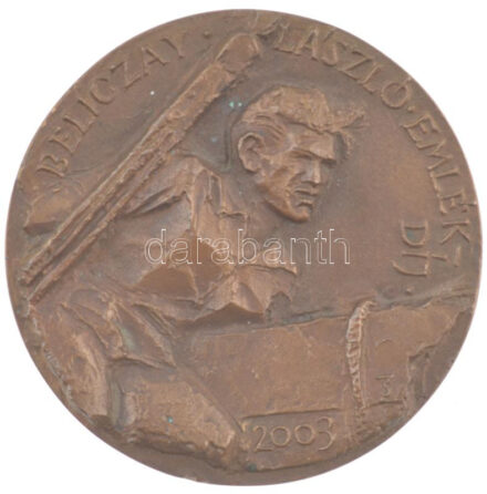 2003. 'Beliczay László Emlék Díj 2003' bronz emlékérem olvashatatlan szignóval (88mm) T:1-