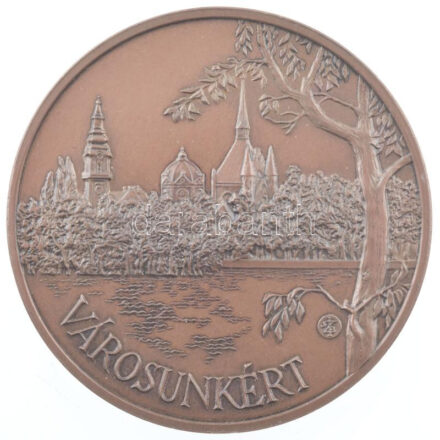 DN. 'Városunkért / Szolnok Megyei Jogú Város Polgármesterétől - Varga K. Gimn.' bronz emlékérem olvashatatlan szignóval (60mm) T:1-