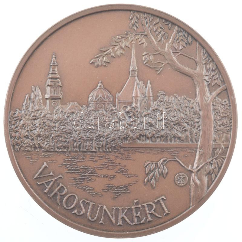 DN. 'Városunkért / Szolnok Megyei Jogú Város Polgármesterétől - Varga K. Gimn.' bronz emlékérem olvashatatlan szignóval (60mm) T:1-