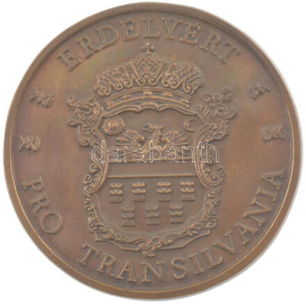 Bognár György (1944-) ~1990. 'Erdélyért - Pro Transilvania' egyoldalas bronz emlékérem (140mm) T:1-