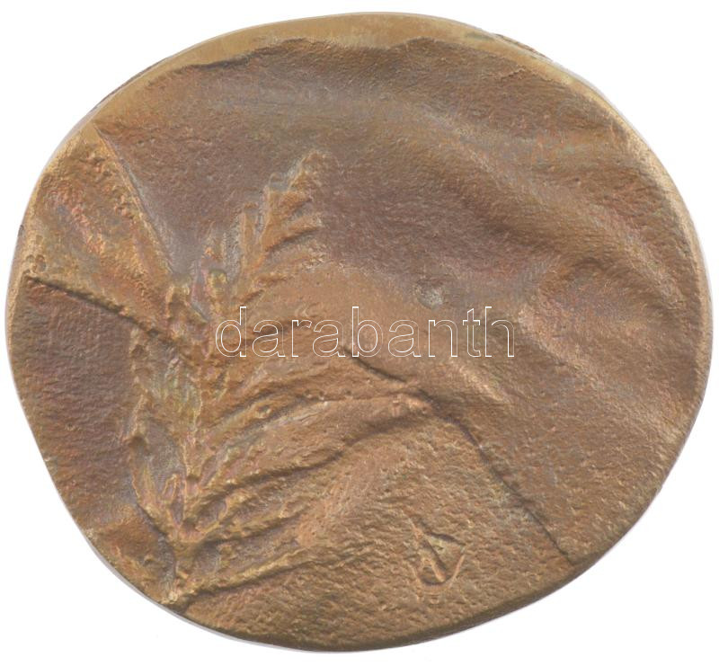 DN 'Tájkép' egyoldalas bronz emlékérem (65mm) T:1-