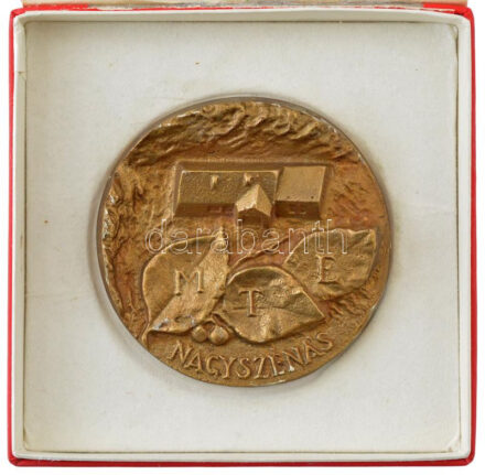 ~1980. 'MTE Nagyszénás' öntött bronz plakett tokban (70mm) T:1 szélén festéknyomok