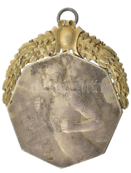 ~1910. 'Gy.T.E.' kétoldalas, jelzett Ag díjérem 'SGA' gyártói jelzéssel, bronz díszítéssel (br.27,40g/0.800/42x47mm) T:2 patina