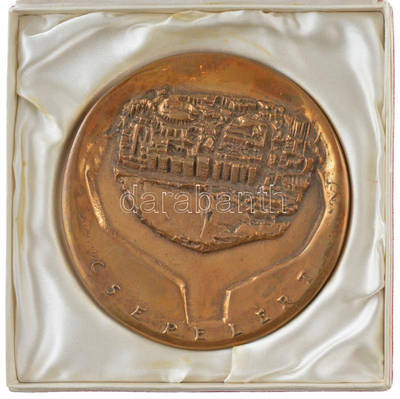 DN 'Csepelért' Br plakett eredeti tokban (~116mm) Szign.:C A(?) T:1