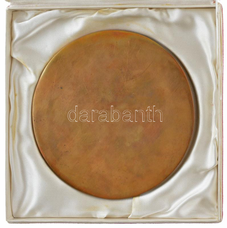 DN 'Csepelért' Br plakett eredeti tokban (~116mm) Szign.:C A(?) T:1 - Image 2