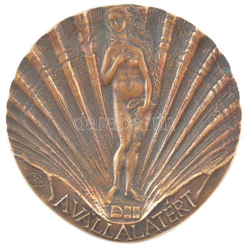 1989. 'DH (Danubius Hotels) - A vállalatért / Nagy Miklós 1989.' kétoldalas bronz plakett. Szign.: SZGY (123mm) T:1 patina
