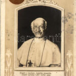 1900 Leone XIII / Pope Leo XIII. Art Nouveau, floral (fl)