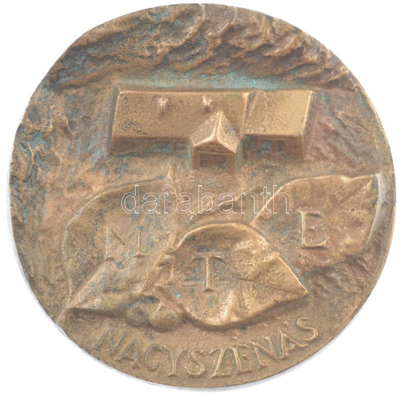 ~1980. 'MTE (Magyar Turista Egyesület) Nagyszénás' egyoldalas öntött bronz plakett (70mm) T:1 patina
