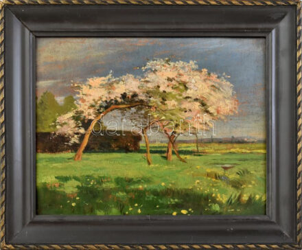 Olvashatatlan jelzéssel (balra lent), XX. sz. eleje: Tavaszi virágzás. Olaj, fa. Dekoratív fakeretben. 25,5x33 cm