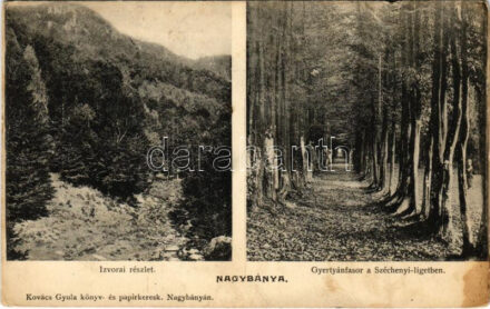 1908 Nagybánya, Baia Mare; Izvorai részlet, Gyertyánfasor a Széchenyi ligetben. Kovács Gyula kiadása / forest (gyűrődés / crease)