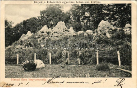 1908 Kolozsvár, Cluj; Egyetemi botanikus kert, havasi flóra hegycsoport / botanical garden of the university, alpine flora mountain group (EK)